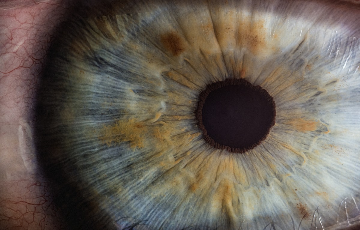 Illustrative retinal imagery representing the Mnemosline device for Stargardt disease